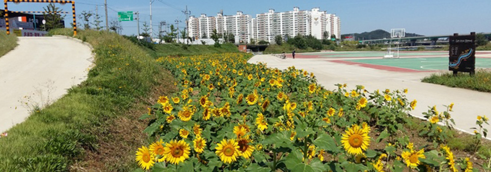 곡교천갈매체육공원